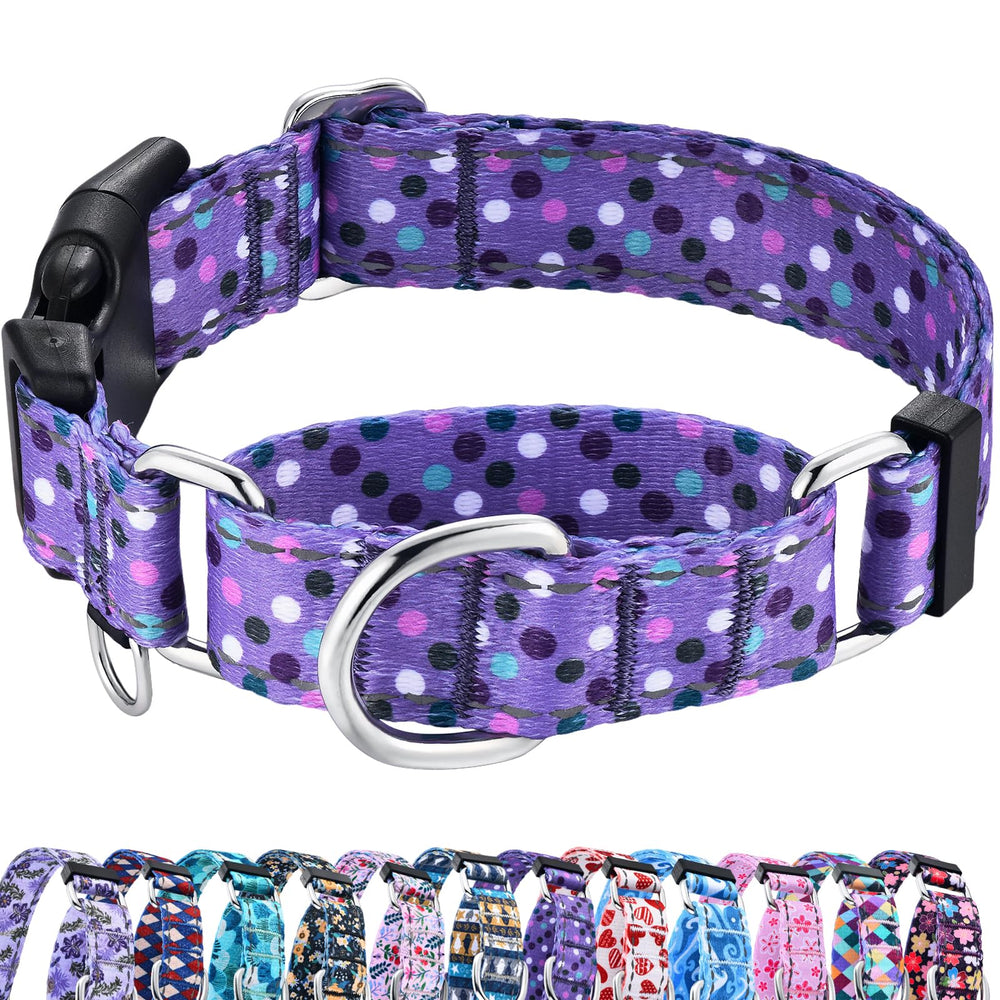Collar martingale reflectante Fidohug púrpura con lunares, talla XS, mejor visibilidad nocturna.