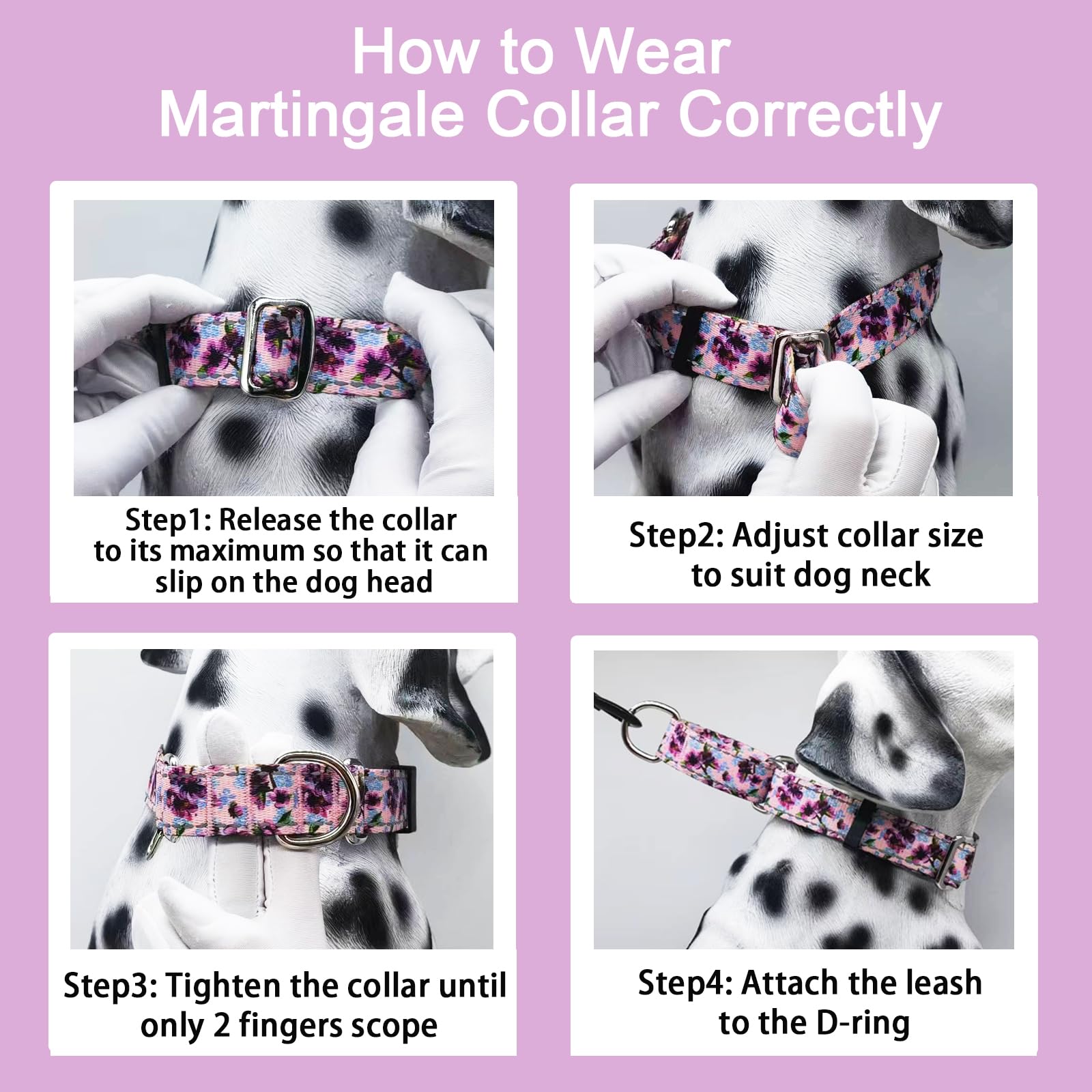 Fidohug collar martingale con talla adecuada, espacio recomendado para comodidad del perro.
