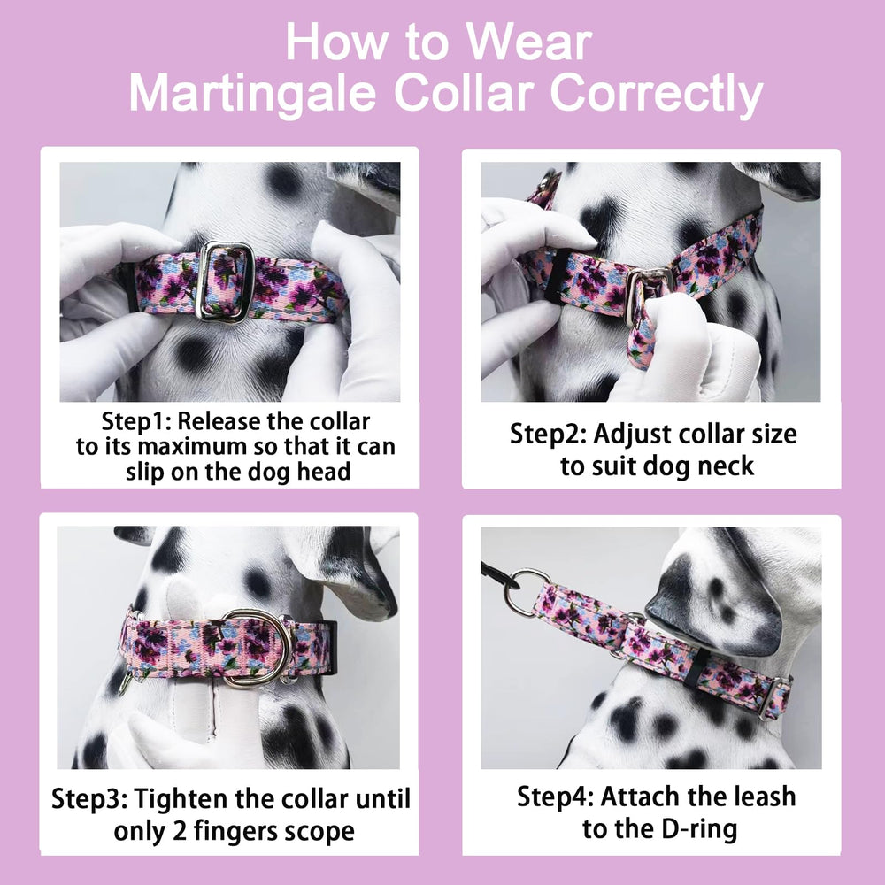 Fidohug collar martingale con talla adecuada, espacio recomendado para comodidad del perro.
