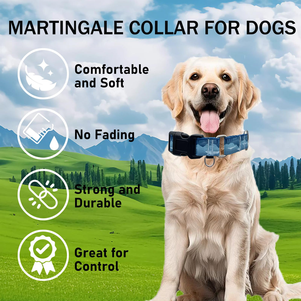 Fidohug diseño estampado del collar, estilo personalizado