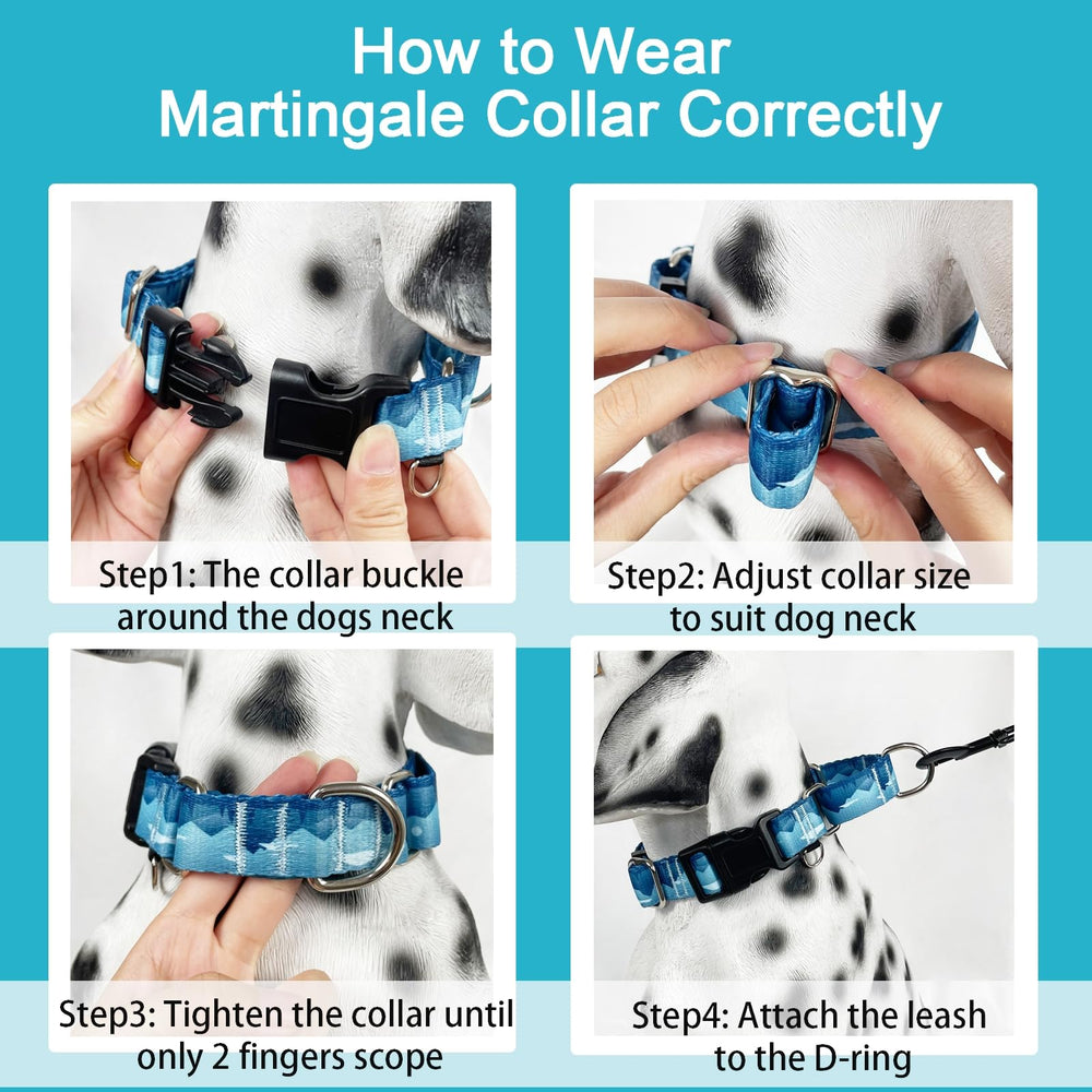 Fidohug guía de tallas del collar para perros, ajuste preciso
