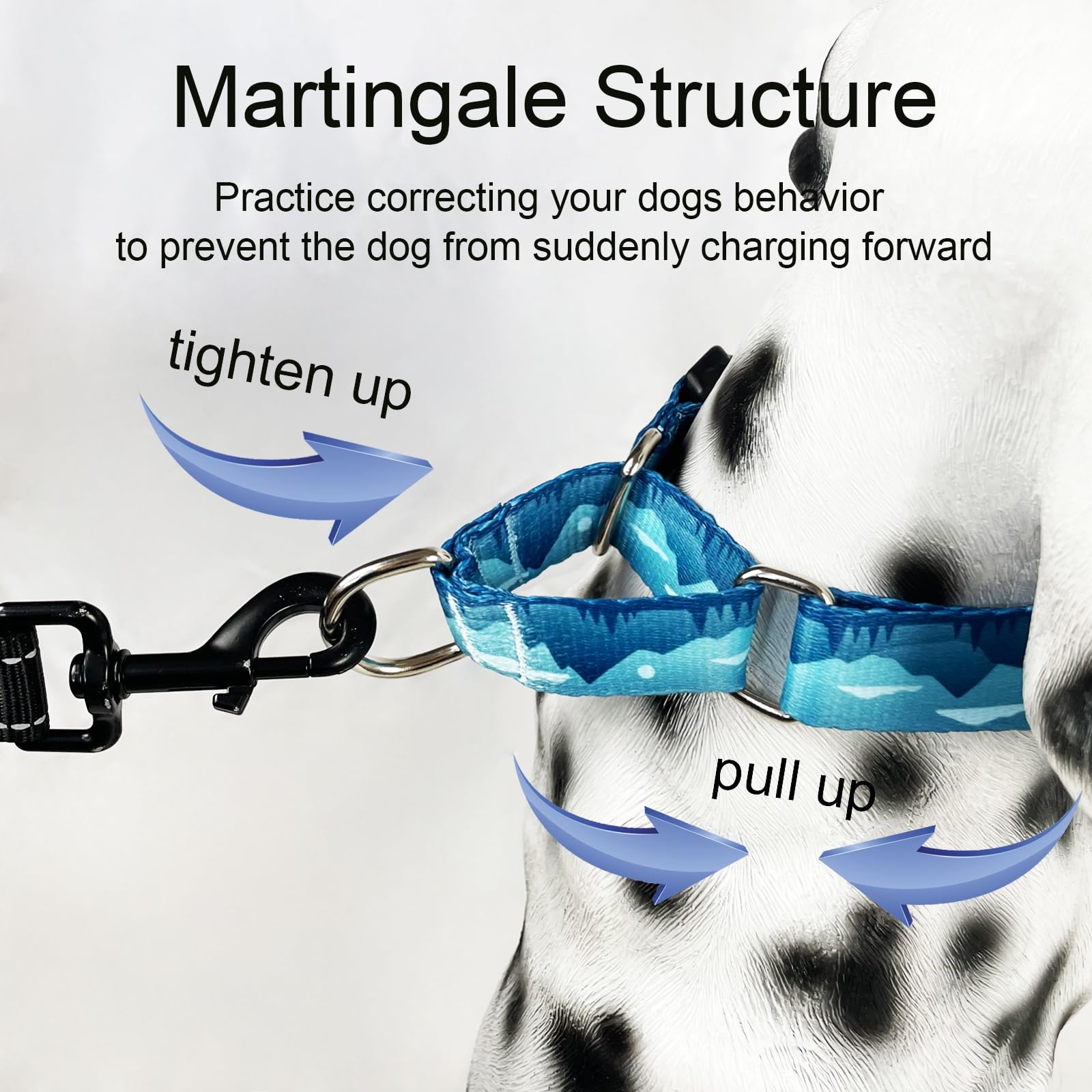Fidohug collar para perros, fácil de limpiar y mantener