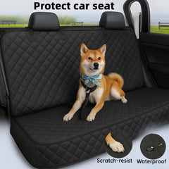 Cinturón para perro incluido para viajar con mayor seguridad.