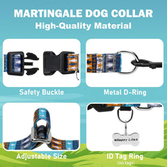 Fidohug diseño estampado tiburones-estrellas, estilo unico para paseos diarios.