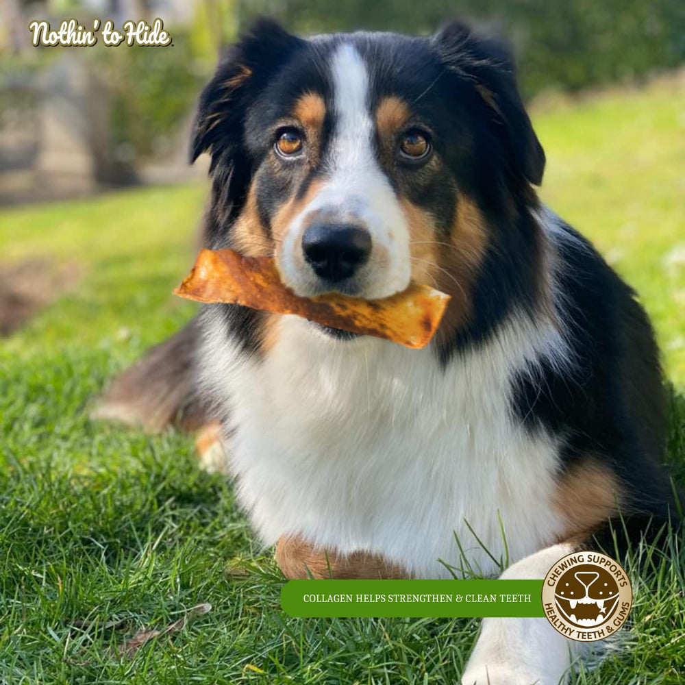 Fieldcrest Farms Nothin to Hide Flip Chips de res, sabor a res para perros curiosos.