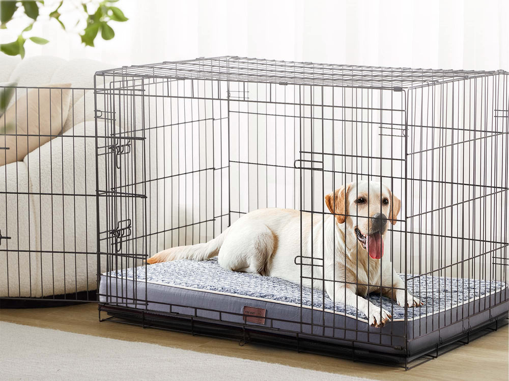 Tamaño XXXL 127x91x9 cm para perros grandes.