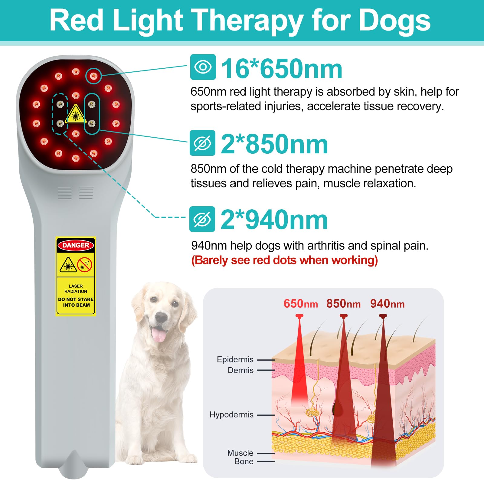 Fimem terapia de luz roja para perros, enfoque en articulaciones.