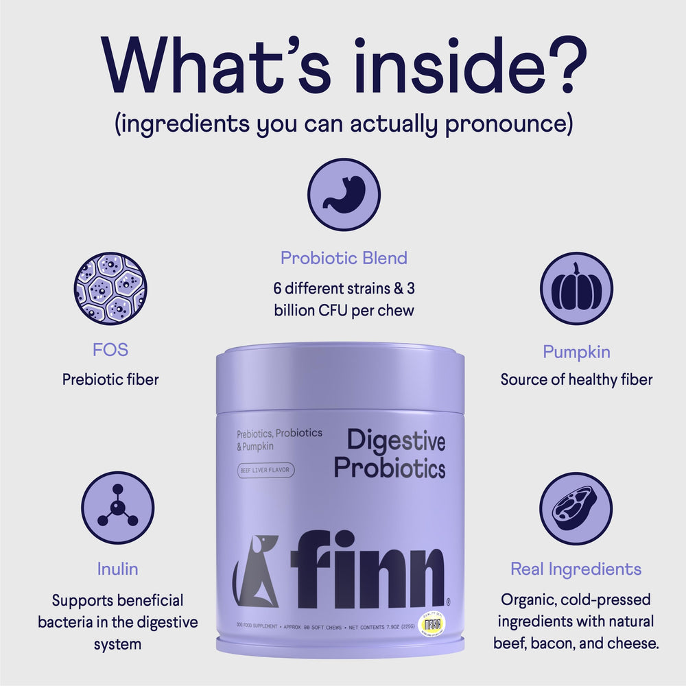 Finn Digestive Probiotics para perros: calabaza como fuente natural de fibra en la fórmula