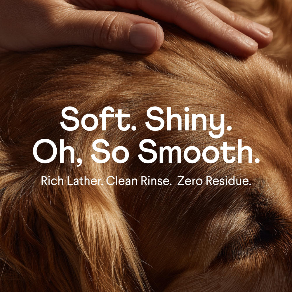 Envase de aluminio reciclable de Finn Fur Hero