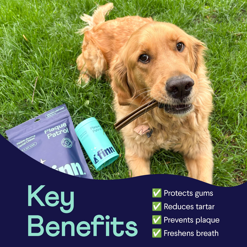 Finn polvo dental para perros, control de placa visible con uso constante.