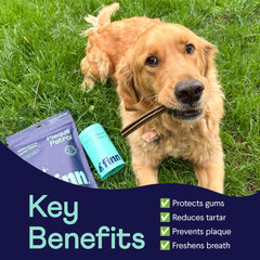 Finn polvo dental para perros, control de placa visible con uso constante.