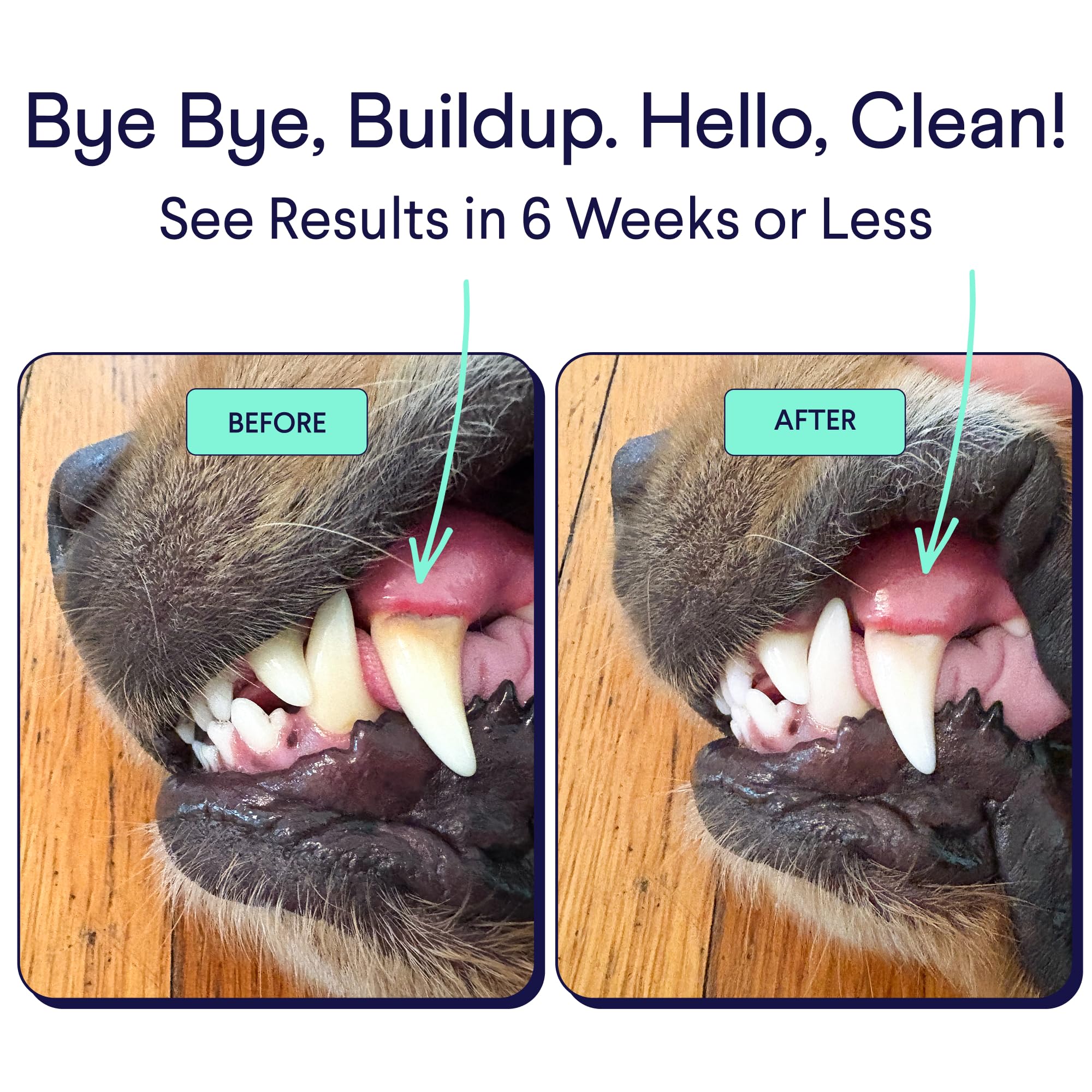 Finn polvo dental para perros, reducción de sarro con uso regular.