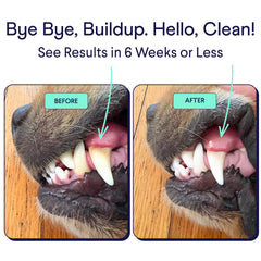 Finn polvo dental para perros, reducción de sarro con uso regular.