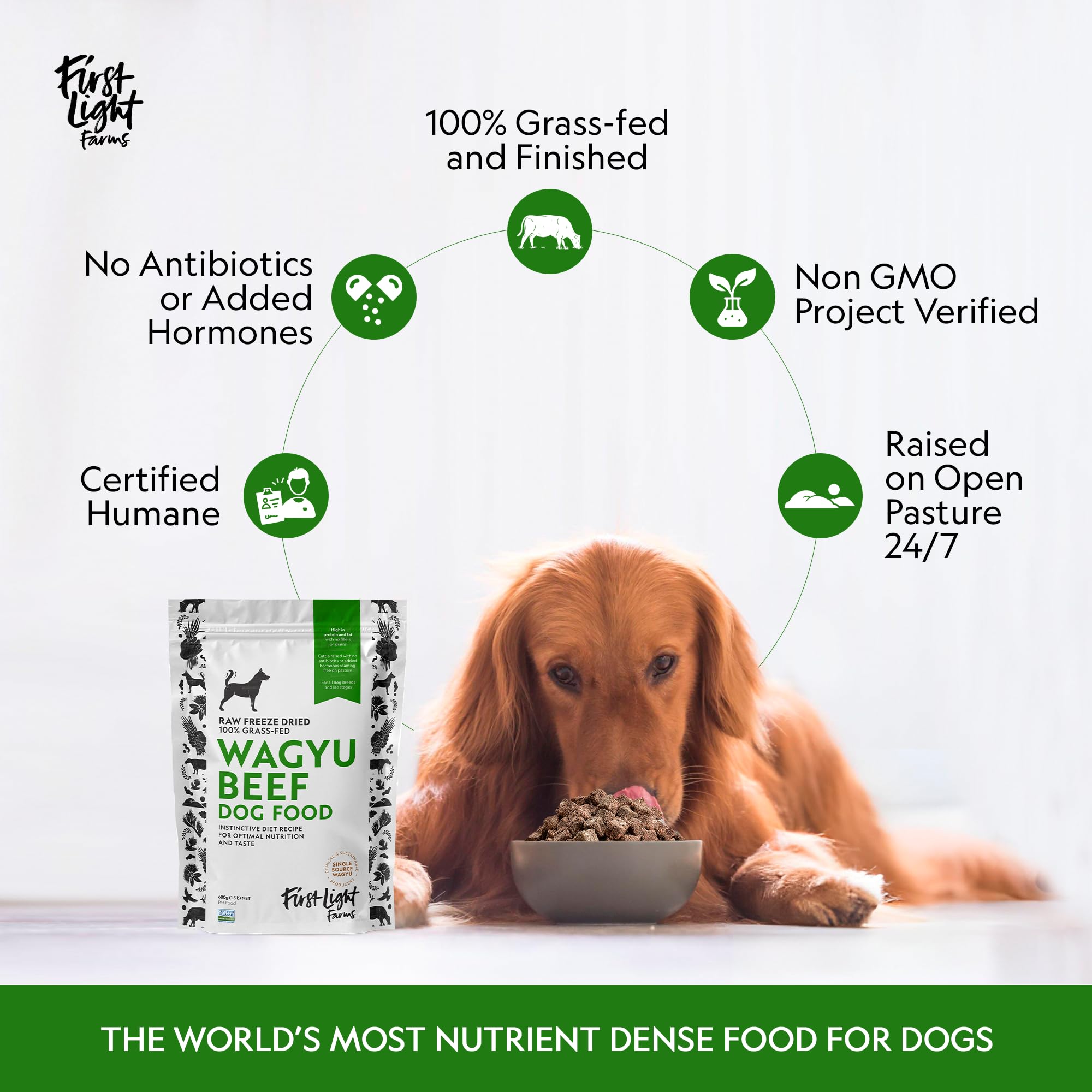 First Light bolsa de 1,5 lb presenta nutrición premium para perros.