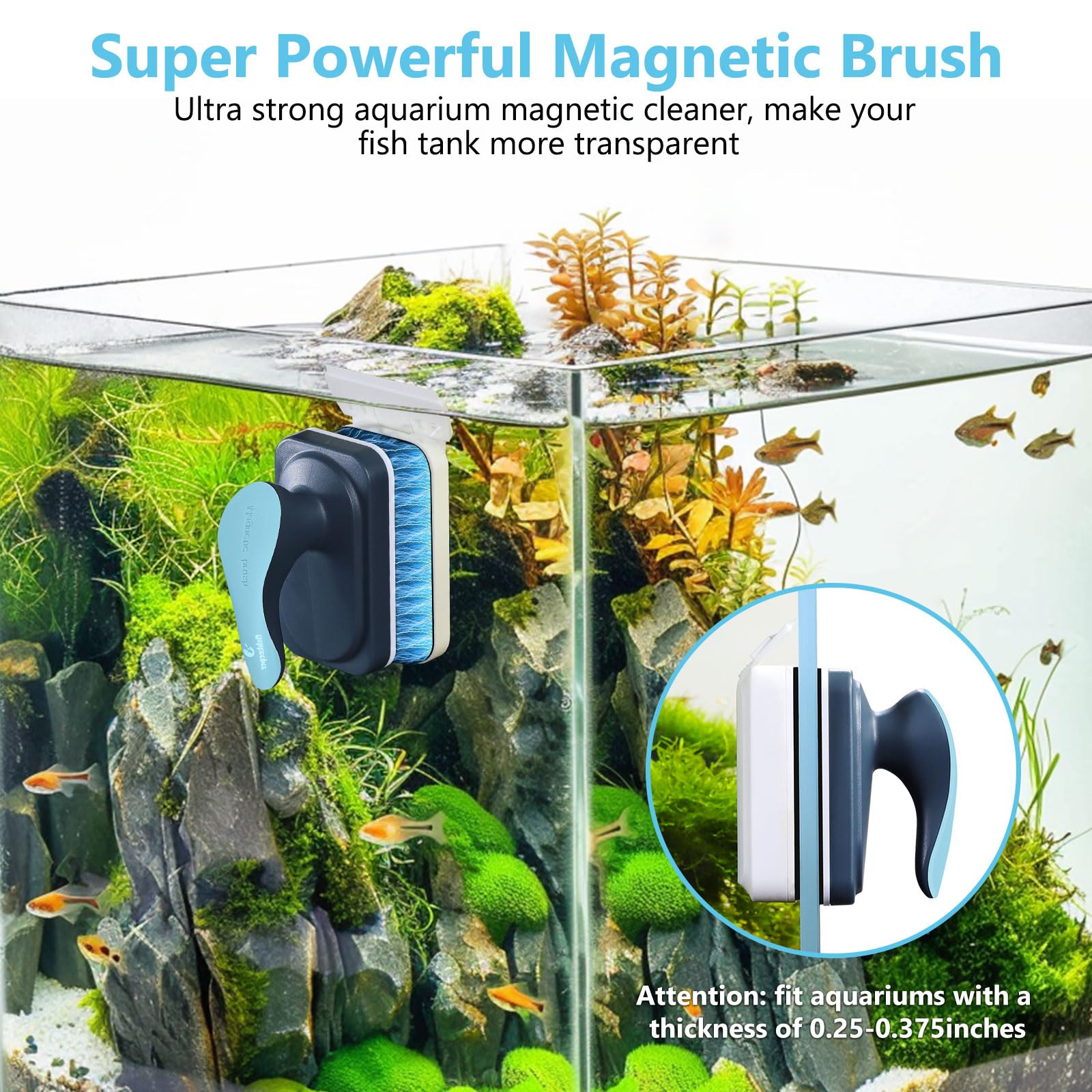 Fishkeeper raspador de algas desmontable plástico: adecuado para acrílicos.