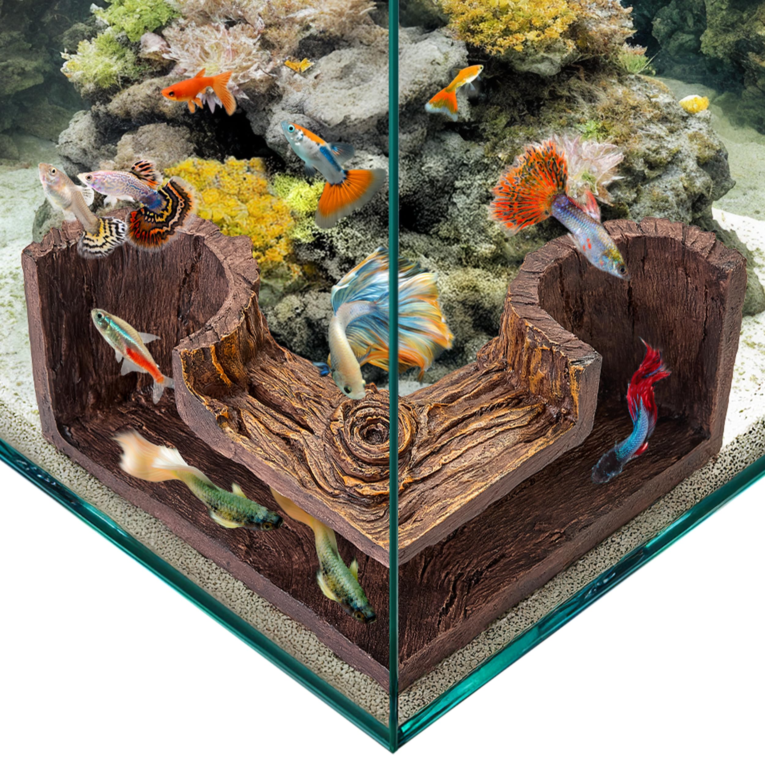 FISHNOSH cueva de pecera ofrece zonas de descanso para peces pequeños.
