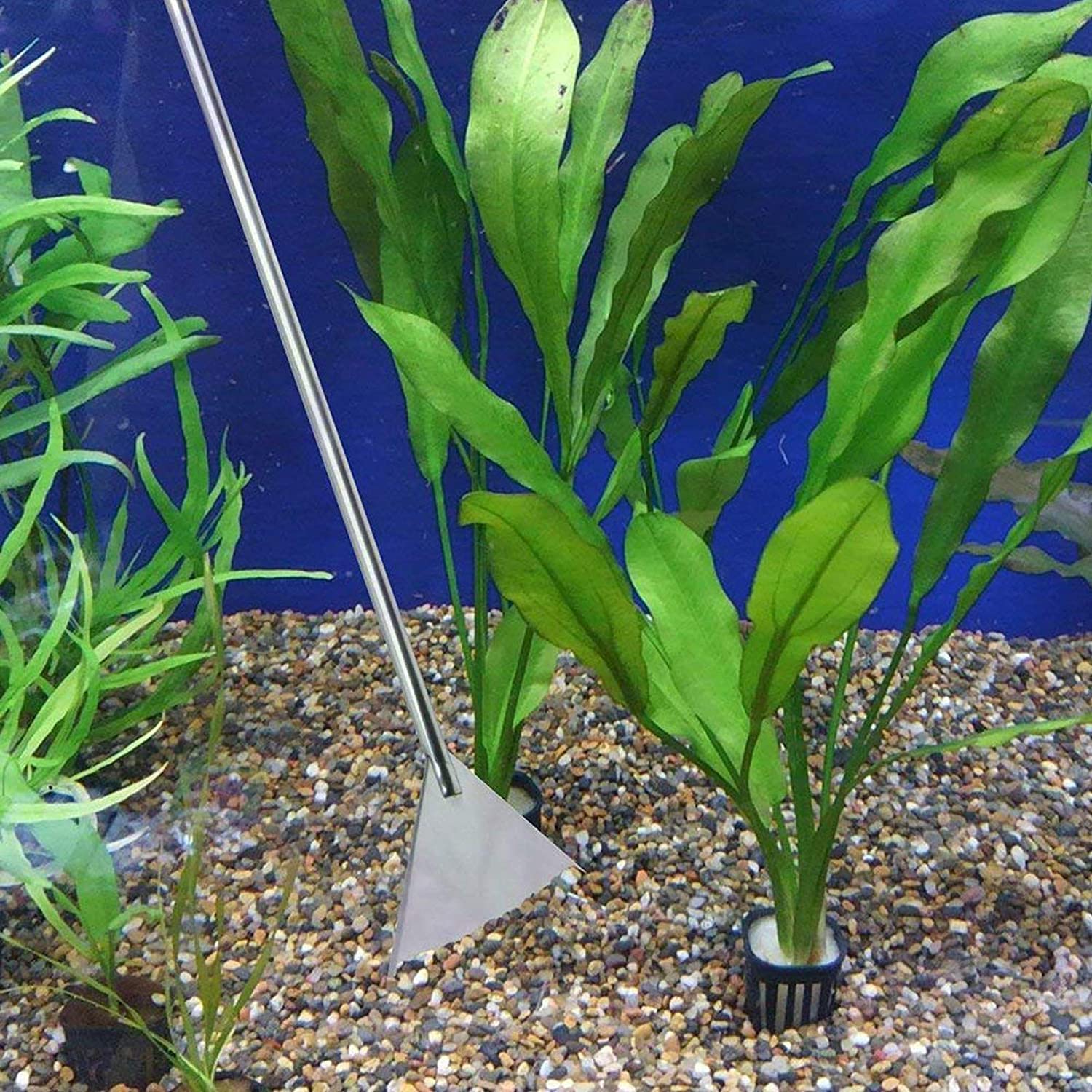 FISTOY uso en acuario con planta, manejo preciso de plantas y sustrato.