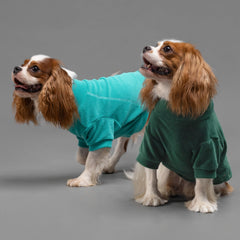 Fitwarm sudadera para perros pequeños, cuello alto en verde azulado.