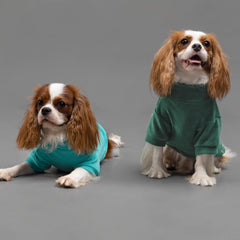 Fitwarm para paseos invernales, tres colores disponibles.