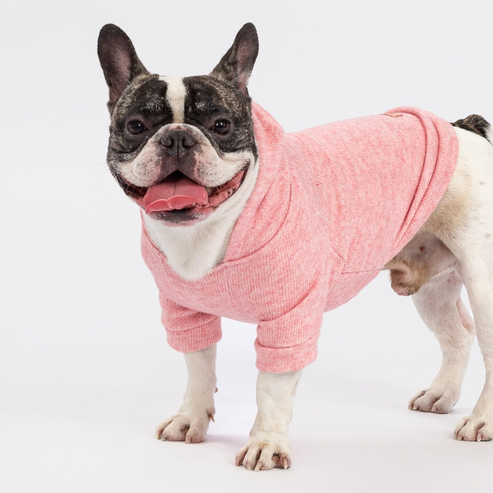 Fitwarm ajuste flexible para perro facilita movimiento y comodidad durante paseos.