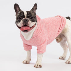 Fitwarm ajuste flexible para perro facilita movimiento y comodidad durante paseos.