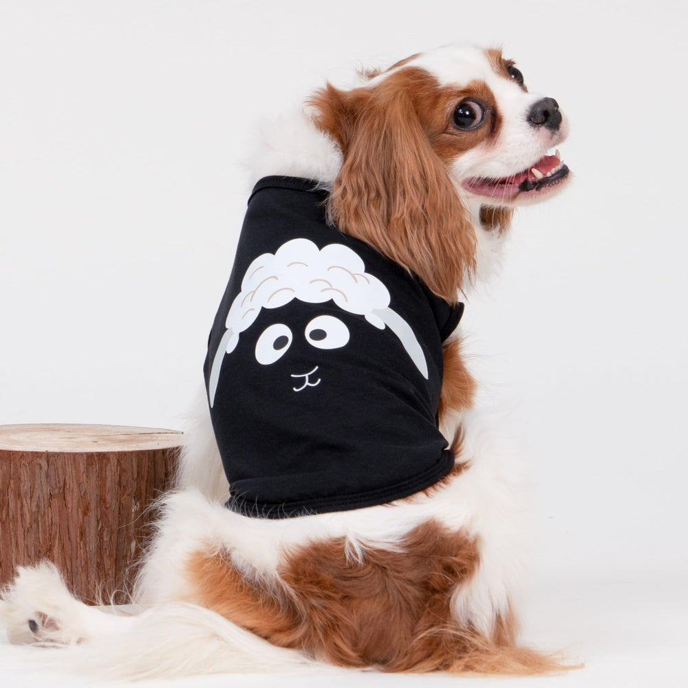 Camiseta de Fitwarm para perro pequeño con koala, perfecta para fotos.