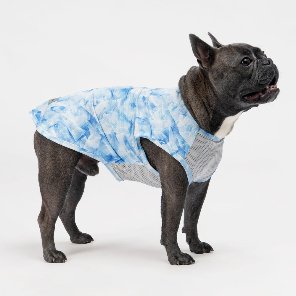 Fitwarm camisas para perro con protección UPF50+ para días soleados.