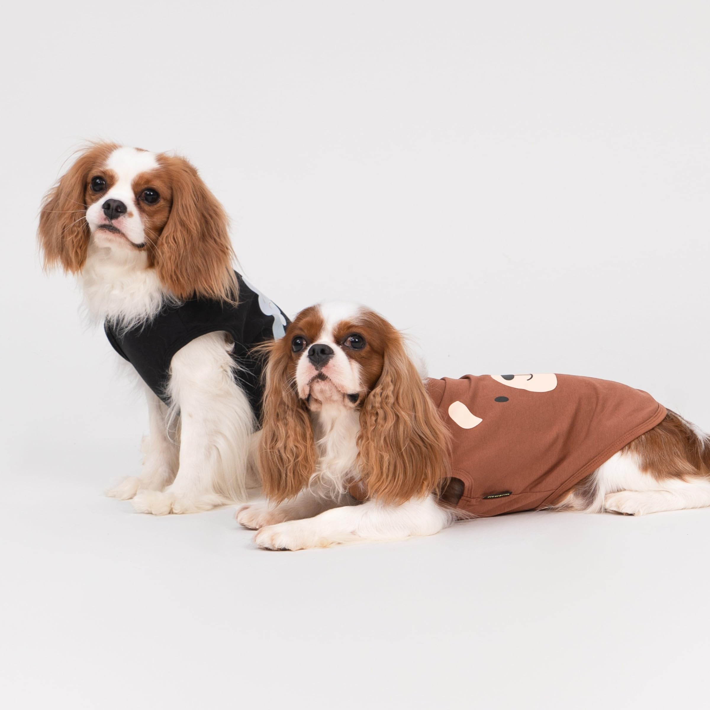 Prendas ligeras Fitwarm para paseos y fotos.