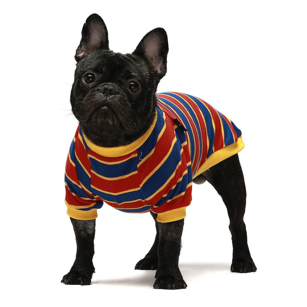 Fitwarm camiseta de verano para mascota, uso diario con tela suave.