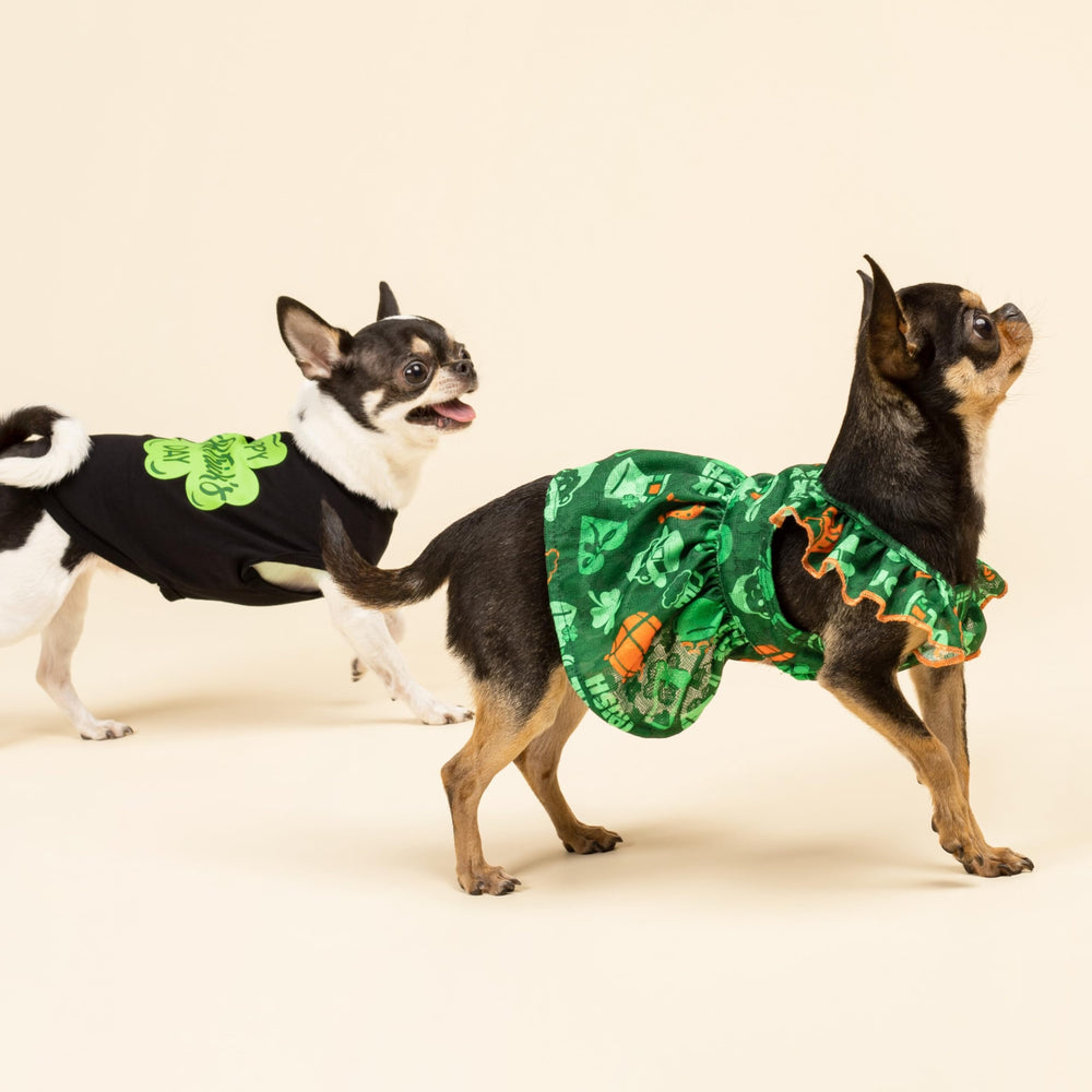 Camiseta Fitwarm para perro, ajuste cómodo, negro, fácil de poner y quitar