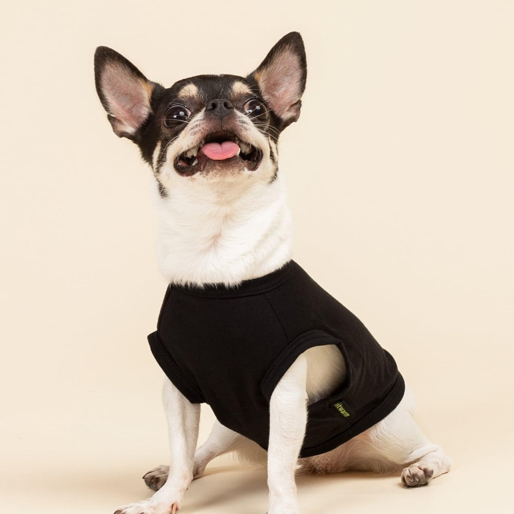Camiseta Fitwarm para perro, algodón transpirable, negro, ideal para verano