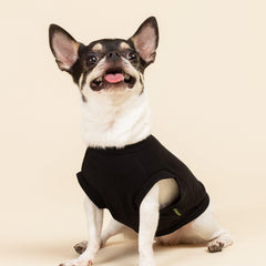 Camiseta Fitwarm para perro, algodón transpirable, negro, ideal para verano