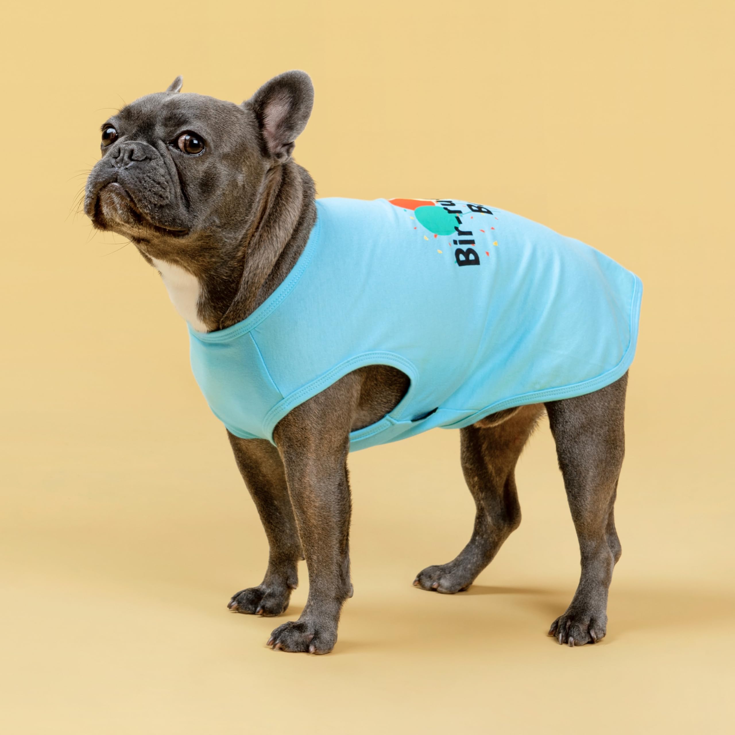 Prenda cómoda para perros pequeños, fácil de poner y quitar.