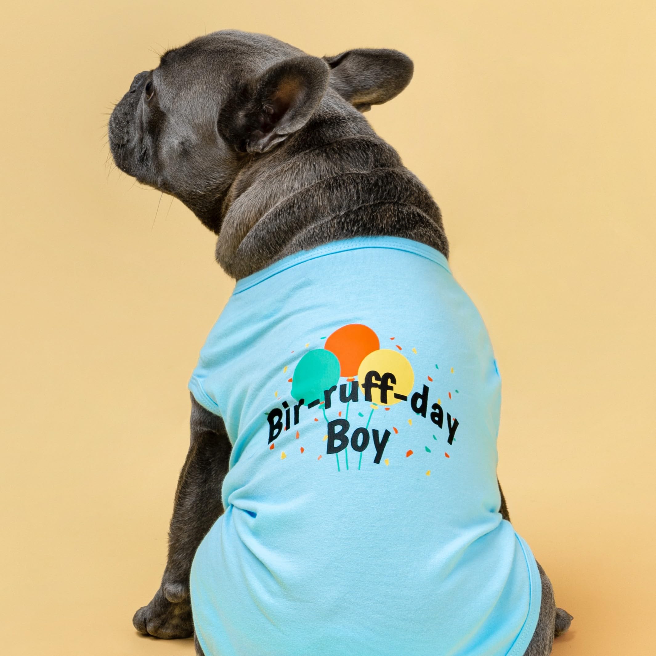 Fitwarm prenda Bri-Ruff-Day para perros pequeños, regalo festivo.