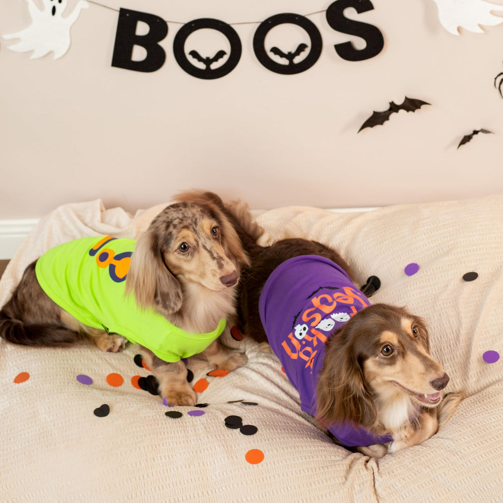 Fitwarm camiseta perro diseño fantasmas y murciélagos, perfecta para fiestas de brujas
