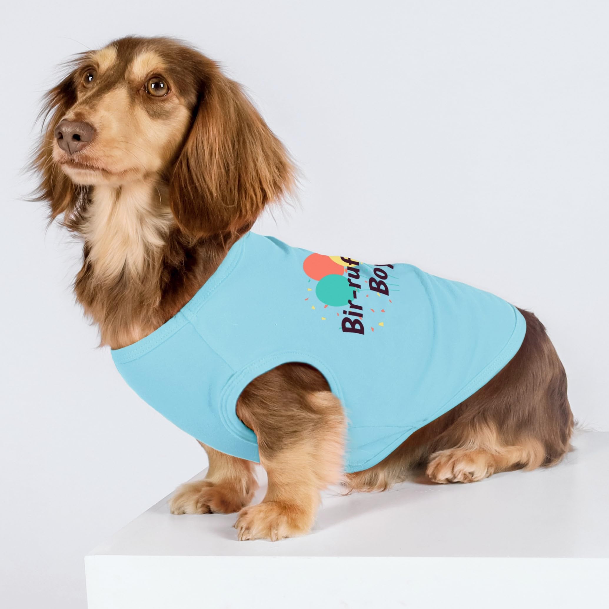 Camiseta para mascota, estilo festivo para días especiales.