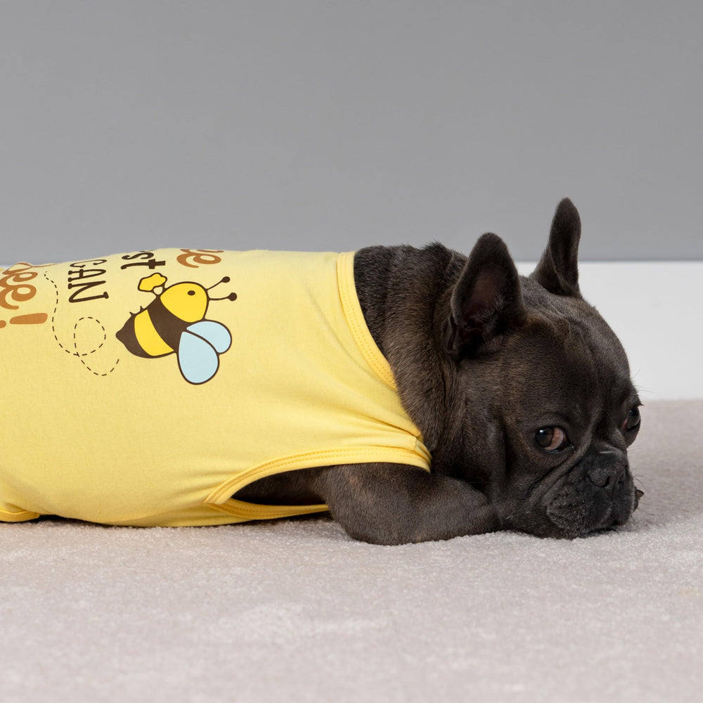 Fitwarm camiseta para perro con diseño frontal, estilo casual para salidas diarias