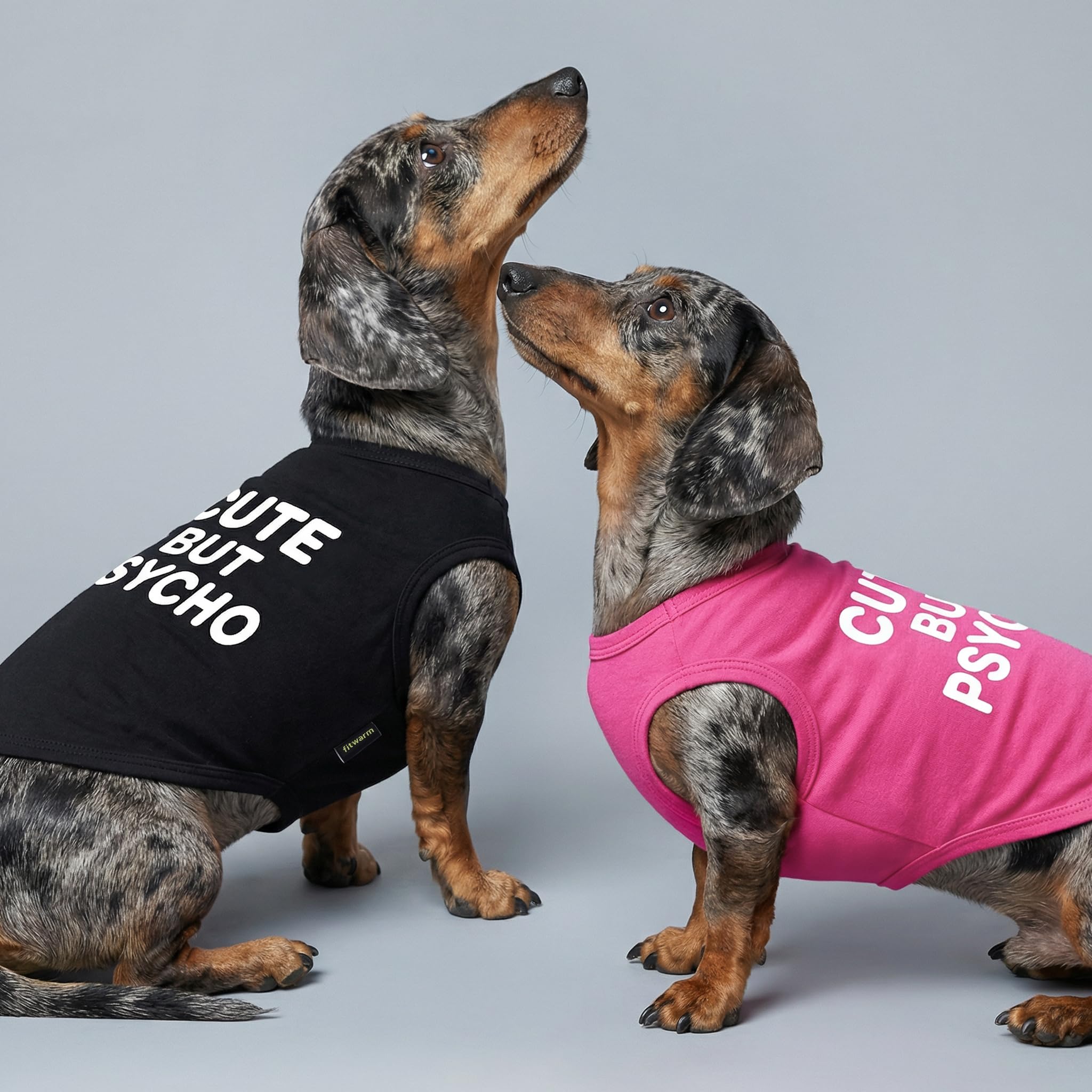 Fitwarm camiseta para perro linda pero loca, vista trasera, estilo para salidas diarias.