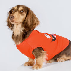 Camiseta Fitwarm para perro monstruo turquesa, diseño brillante
