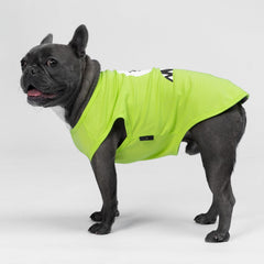 Fitwarm camiseta para perro monstruo verde frontal, diseño llamativo y cómodo.