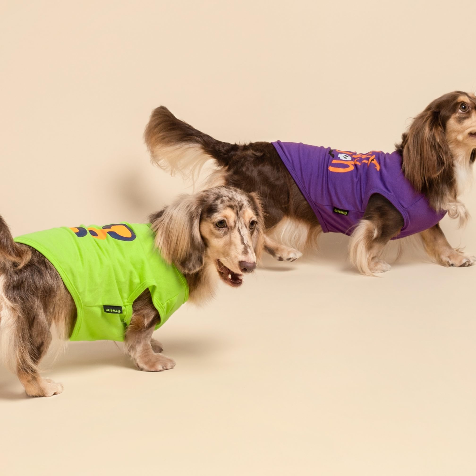 Fitwarm camiseta perro para paseos y sesiones, colores morado-naranja vibrantes