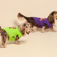 Fitwarm camiseta perro para paseos y sesiones, colores morado-naranja vibrantes