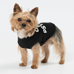 Fitwarm Camiseta para Perros Pequeños, impresión CUTE BUT PSYCHO para fotos divertidas.