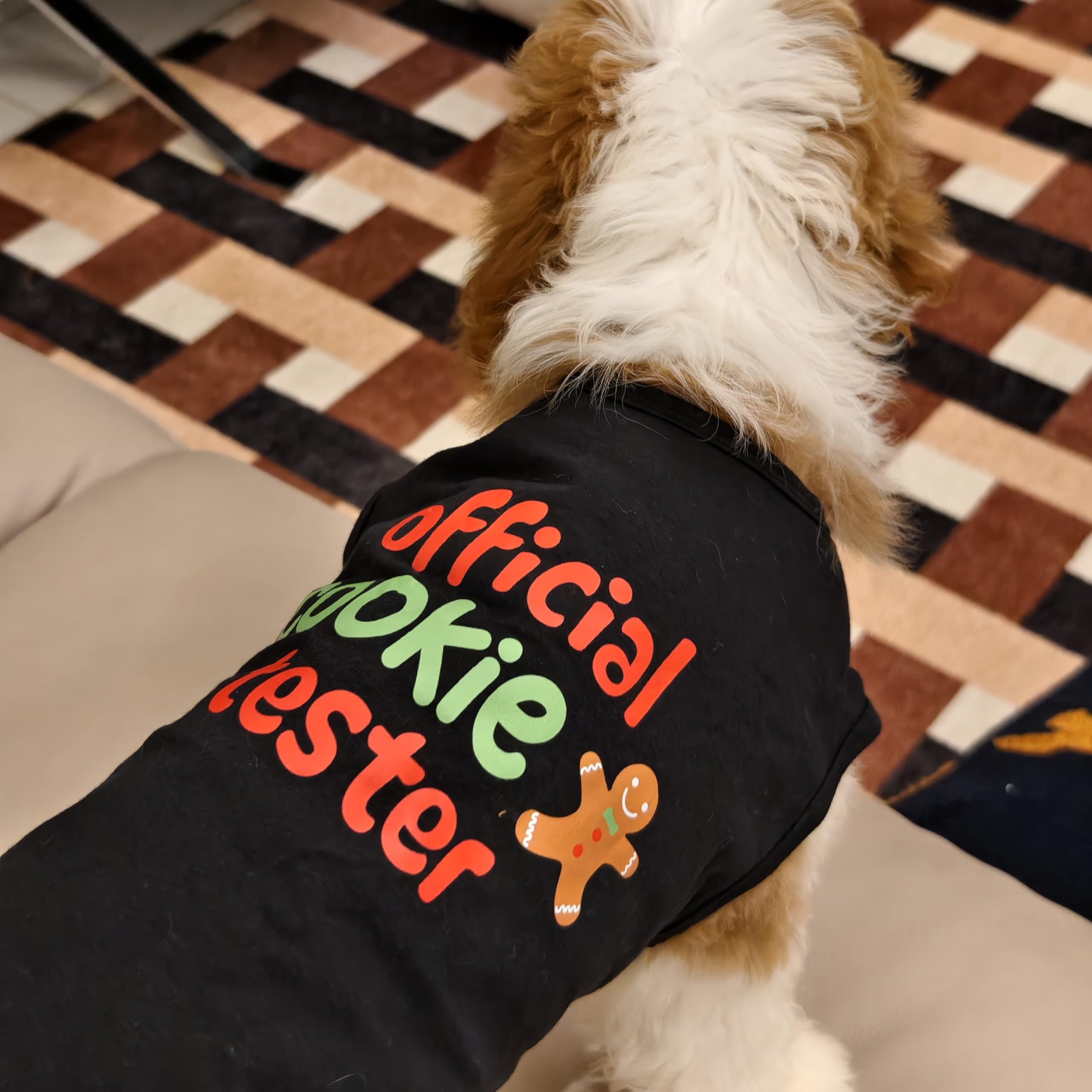 Fitwarm camiseta canina verde con motivo galleta para celebraciones