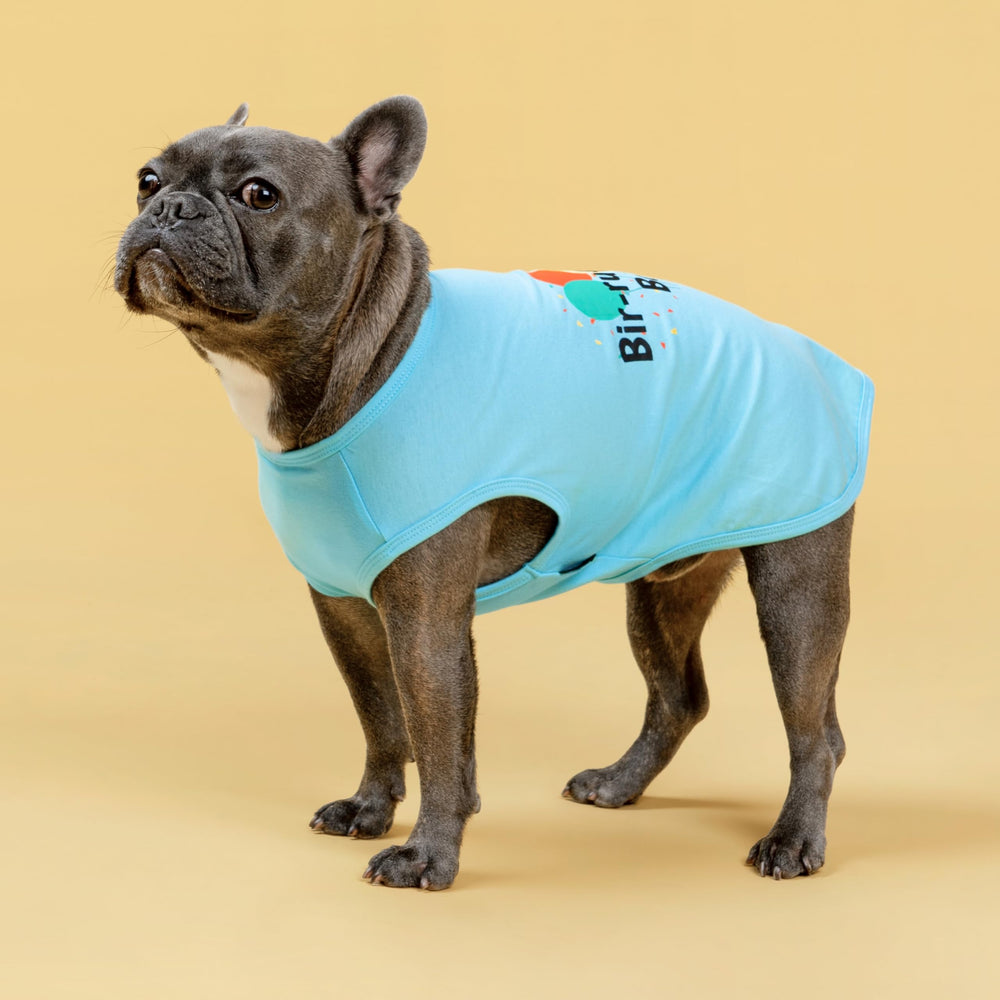 Tejido 100% algodón de Fitwarm, camiseta azul para perro.