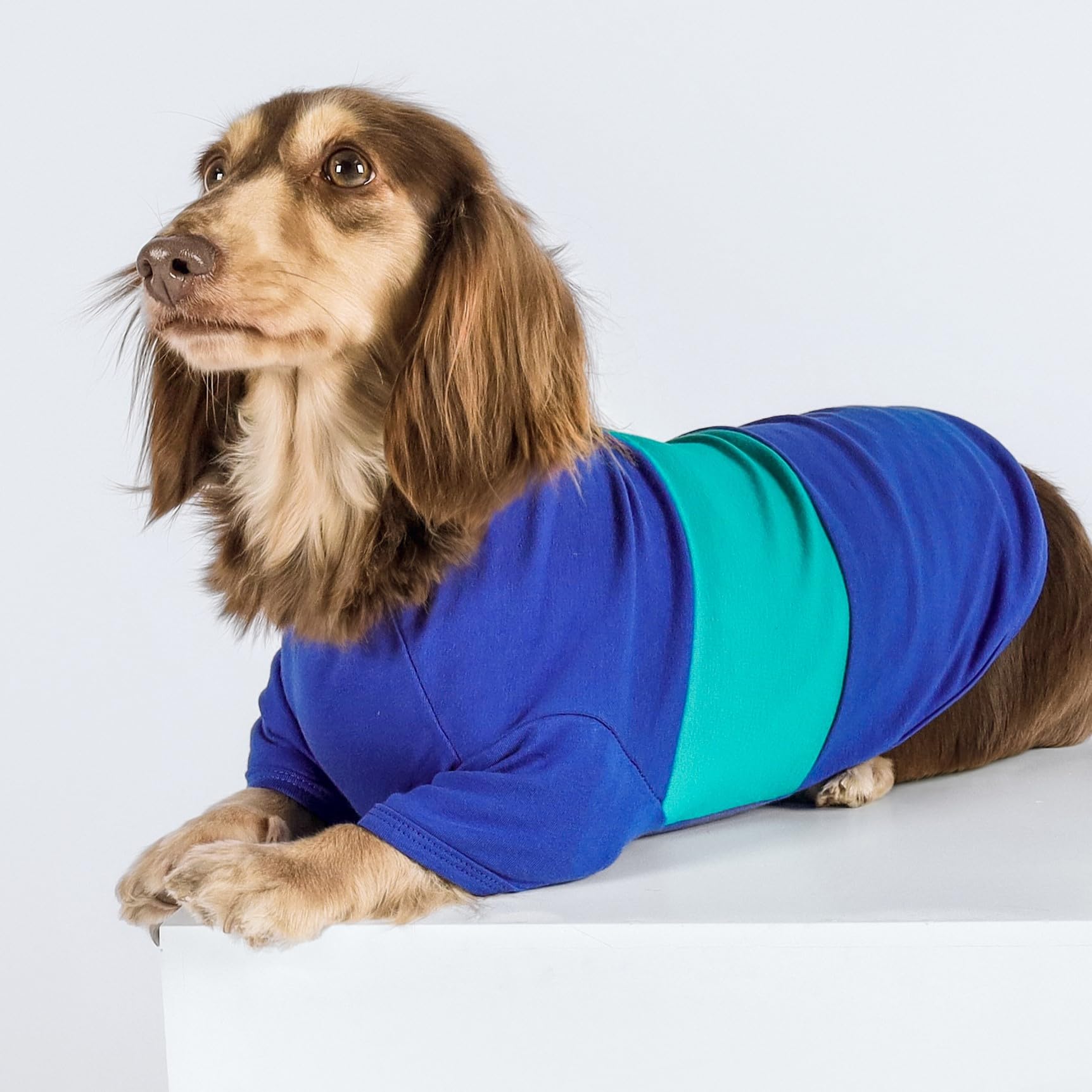 Fitwarm camisetas para perros en gris, vista frontal y aire transpirable.