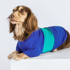 Fitwarm camisetas para perros en gris, vista frontal y aire transpirable.