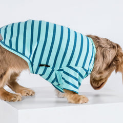 Fitwarm camisetas para perros en turquesa, vista frontal y sensación fresca.