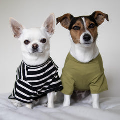 Fitwarm camiseta canina con rayas en bloques de color, perfecta para razas pequeñas.