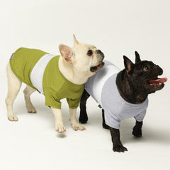 Fitwarm camiseta perrito rayas bloque color, transpirable y cómoda para días calurosos.